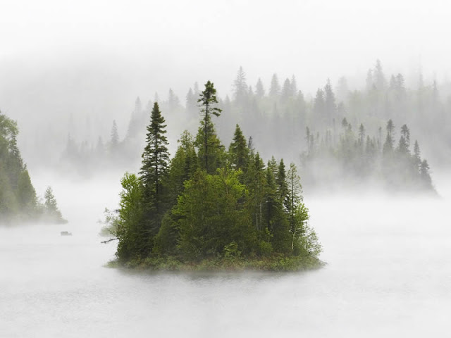     Island in fog.jpg